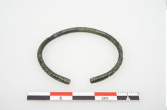 Foto von Bronzering (NHMW-PRAE-026628)
